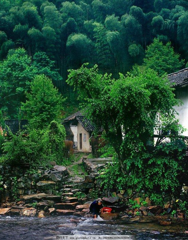 味蕾上的年