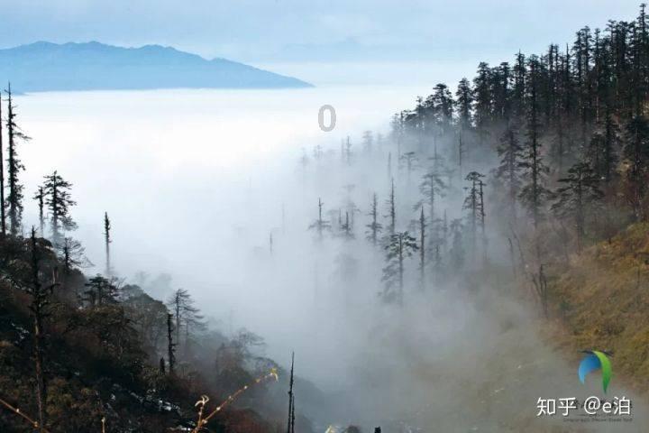 妙鸭相机app下载官网